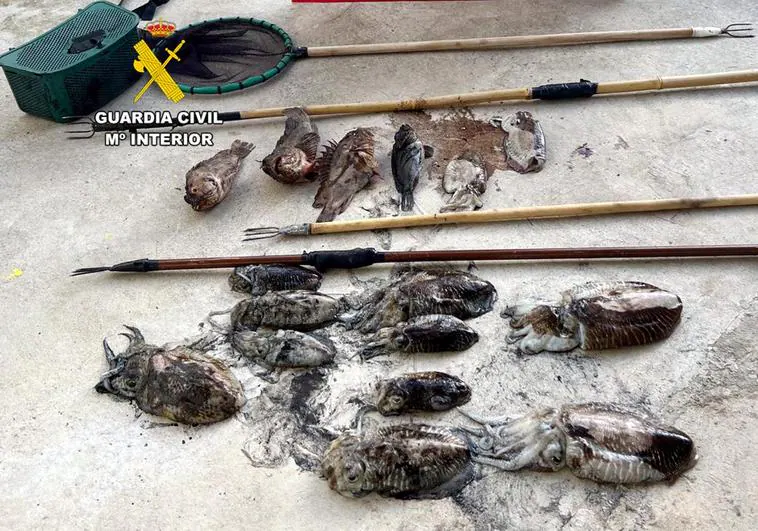 La Guardia Civil sorprende a cuatro furtivos pescando cachones en Noja